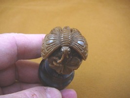 (tb-but-5) tan Butterfly on flower TAGUA NUT palm figurine Bali detailed carving - £38.51 GBP