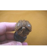 (tb-but-5) tan Butterfly on flower TAGUA NUT palm figurine Bali detailed... - $49.08