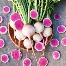 PS Watermelon Radish Seeds 100 Vegetable Garden Nongmo Fast Grow - $166.68 MXN