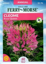 GIB Cleome Rose Queen Flower Seeds Ferry Morse  - £7.07 GBP