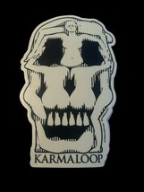 VTG Karmaloop Skull Glow In Dark 6” Sticker Skateboarding New Creep Stre... - $14.85