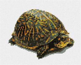 Pepita Needlepoint kit: Box Turtle, 9&quot; x 7&quot; - $50.00+