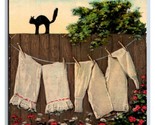 Comic Greetings Clothesline and Black Cat on Fence DB Postcard S2 - $2.92