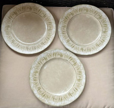 Set of 3 Cheri Blum for 222 Fifth Narcissus Pattern Dinner Plates 10.5&quot; - $28.99