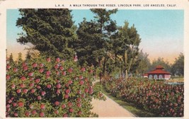 Roses Lincoln Park Los Angeles California CA Postcard C61 - £2.39 GBP