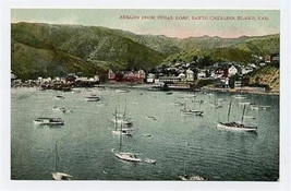 Avalon from Sugar Loaf Santa Catalina Island California Postcard 1900&#39;s - £7.83 GBP