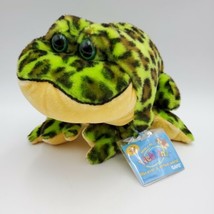 Ganz Webkinz Bullfrog Plush Stuffed Toy Green Frog Animal with code 9”  - £11.03 GBP