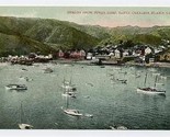 Avalon from Sugar Loaf Santa Catalina Island California Postcard 1900&#39;s - £7.78 GBP