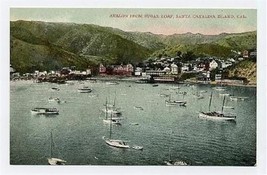 Avalon from Sugar Loaf Santa Catalina Island California Postcard 1900&#39;s - £7.77 GBP