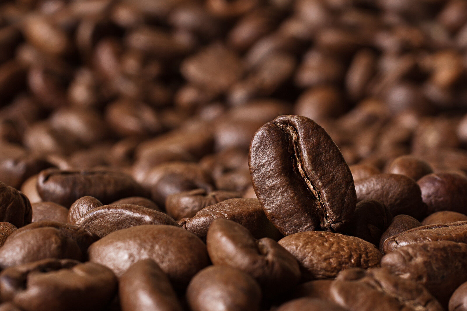 COFFEE -  Colombian Supremo Medellin - Fresh Roasted - 12 oz bag - Mediu... - $9.85