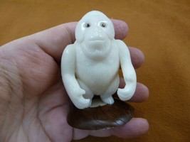 (tne-ape-or-313) white ORANGUTAN monkey ape TAGUA NUT palm nuts figurine... - $43.00