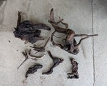 Aquarium/Terrarium Natural Decor Lot - Driftwood &amp; Stone - $69.24