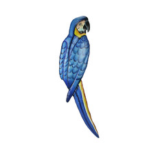 Hand Painted Macaw Recycled Steel Wall Hanging 35 Inches High - £24.59 GBP+
