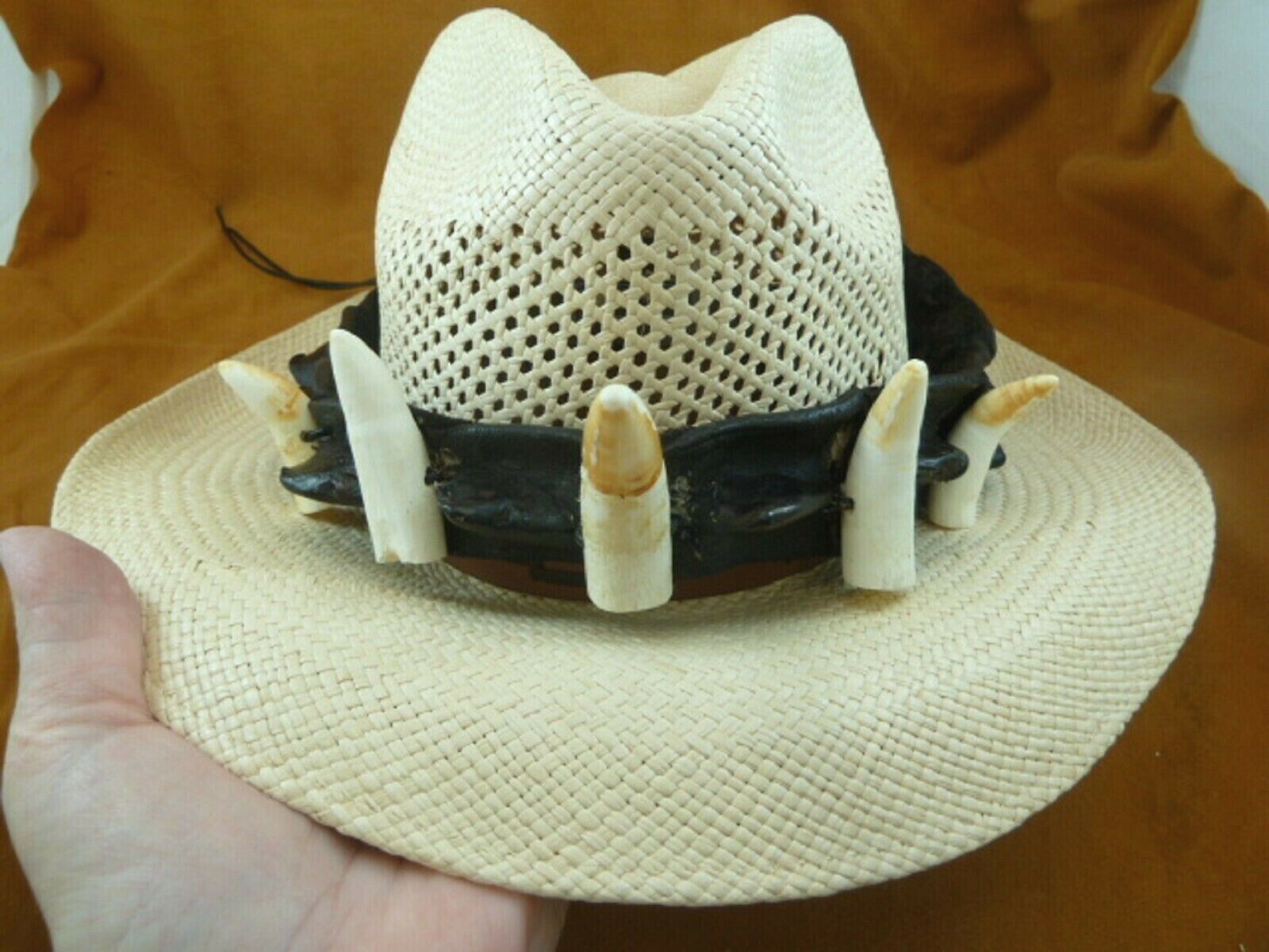 Primary image for (GH371-13) 19" Gator ALLIGATOR Hat band 5 Large Teeth tail leather scute Cowboy