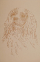 Cavalier King Charles Spaniel Dog Art Portrait #47 Kline adds dog name free. - $49.95