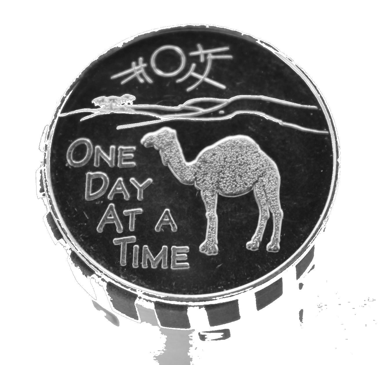 AA /Al-Anon / NA Camel One Day At A Time Aluminum Recovery Token/ Medall... - $12.86