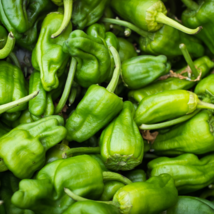 Famous Spanish Heirloom Padron Pepper - 10 Seeds - $6.00