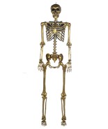 Seasons 5 Inch Gold Posable Skeleton - Bone Color - $226.45 CAD