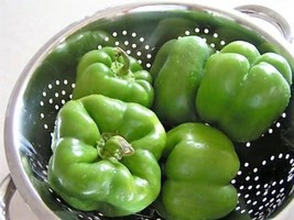FG 200 Sweet Green California Wonder Bell Pepper Capsicum Annuum Vegetable Seeds - £5.33 GBP