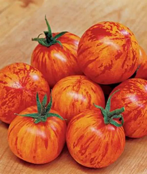 USA Seller FreshRed Zebra Cherry Tomato Seeds Over 200 Kinds Of Tomatoes - $13.98