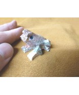 (Y-FRO-1) baby FROG carving red gemstone SOAPSTONE love little amphibian... - $8.59