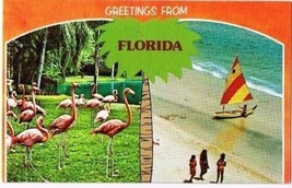 Florida Postcard Greetings From Florida Pink Flamingos Sailboat Beach - £2.32 GBP