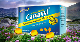 Carvaxyl Wild Oregano - 30 Capsules Unique Organic Wild Oregano Oil - £29.31 GBP