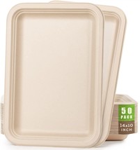Natural Disposable Bagasse Plate For Picnic, 10-Inch Heavy-Duty, Bulk 12... - £31.49 GBP