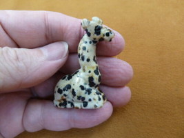 (Y-GIR-SI-567) baby spotted GIRAFFE giraffes carving FIGURINE gemstone g... - $14.01