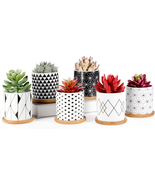 Laerjin Succulent Pots 6 Pack 3&quot; Succulent Planters with Drainage &amp; Bamb... - £24.09 GBP