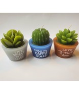 Succulent Shaped Candles, 2.6&quot;, Love Grows, Happy Place, Live What You Love - £5.48 GBP