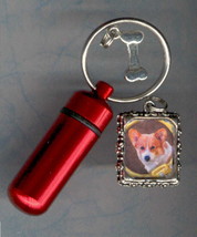 MR,Cat,Dog ID,Photo Frame,Pet Urn,Cat,Key Chain Urn,Blue Urn,Small Urn - £7.23 GBP