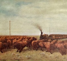 1961 Buffalo Herd Blocking Railway Train Railroad Print Card Antique Litho DWO5 - £27.35 GBP