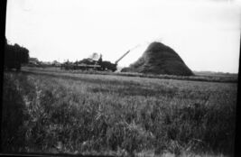 BLACK &amp; WHITE NEGATIVE * snapshot FARM FIELD Trashing grain mules straw ... - $7.95