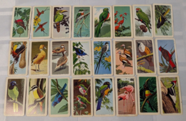 Brooke Bond Tea Card Lot Of 24 Bird Red Rose Blue Ribbon Birds Vintage Retro - £17.18 GBP