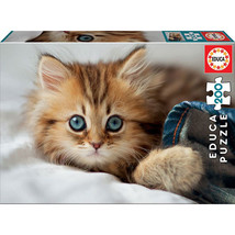 Educa Kitten Puzzle Collection 200pcs - £30.35 GBP