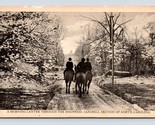 Riding Horses Through Dogwoods Sandhill Section North Carolina NC Postca... - $4.90