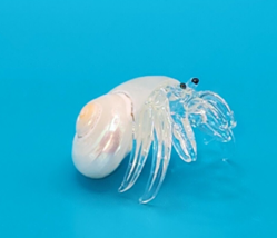 Seashell Hermit Crab Hand Blown Glass Art Sculpture Figurine Beach Animal - $10.39