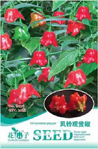 Anatolian Tulip Ornamental Pepper Seeds, Original Pack, 20 Seeds / Pack, Aeolian - £3.99 GBP