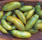 GREEN SAUSAGE TOMATO SEEDS ~ heirloomseedguy  NON-GMO 30 Seeds - $7.10