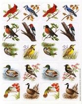 Eureka Bird Stickers Scrapbooking Educational Hummingbird Cardinal Duck ... - $6.25