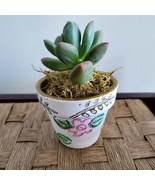 Succulent in Hand Painted Terracotta Pot, Cottagecore Floral Terra Cotta... - £11.95 GBP