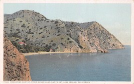 Santa Catalina Island California~Descanso Canyon From Sugar Loaf Postcard c1910s - £4.90 GBP