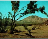 Sierra Blanca Mountain El Paso Texas TX UNP Unused Chrome Postcard A12 - $6.88
