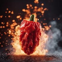 Hot Red Pepper Seeds Combo Pack 10 Packs Garden USA Shipping - $60.00