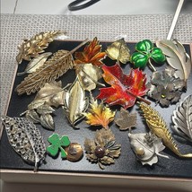 Assorted Leaf and Nature Brooch Set - $23.38