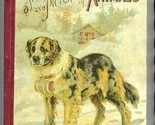 Stories &amp; Pictures of Animals Hurst &amp; Company 1890&#39;s Children&#39;s Book - £39.62 GBP