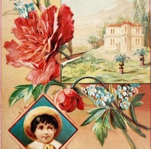 C1900 Victorian Trade Greeting Card Boy Floral Landscape Embossed Antiqu... - $19.99