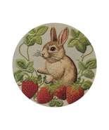 Strawberry Bunny Rabit - Embroidery Style - Strawberries Fruit Munchies ... - $149.60