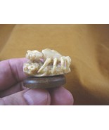 (tb-crab-7) little tan crab TAGUA NUT palm figurine Bali carving sea sho... - £38.59 GBP